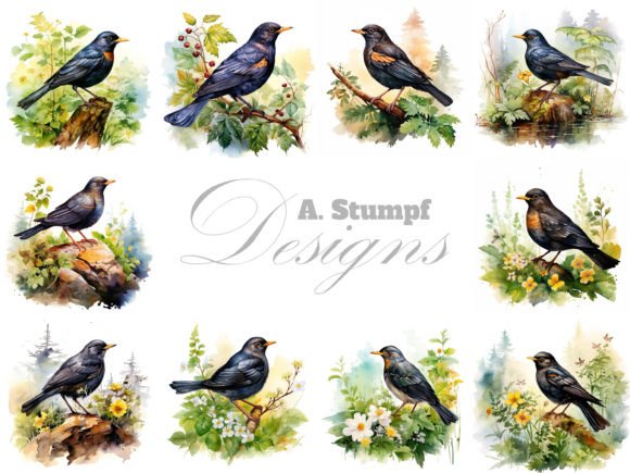 Download Blackbird Clipart Watercolor Bird Bundle - Bird bundle Collection
