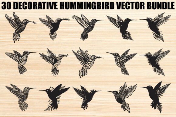 Download Decorative Floral Hummingbird Bundle - Bird bundle Collection