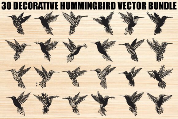 Download Decorative Floral Hummingbird Bundle - Bird bundle Collection