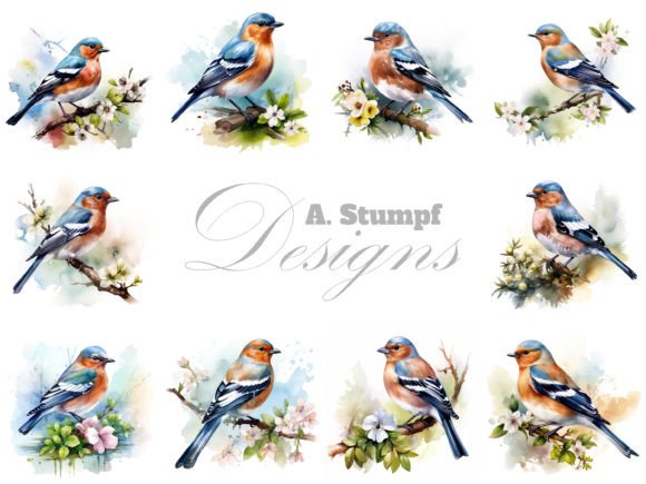 Download Chaffinch&nbsp;Clipart Watercolor Bird Bundle - Bird bundle Collection